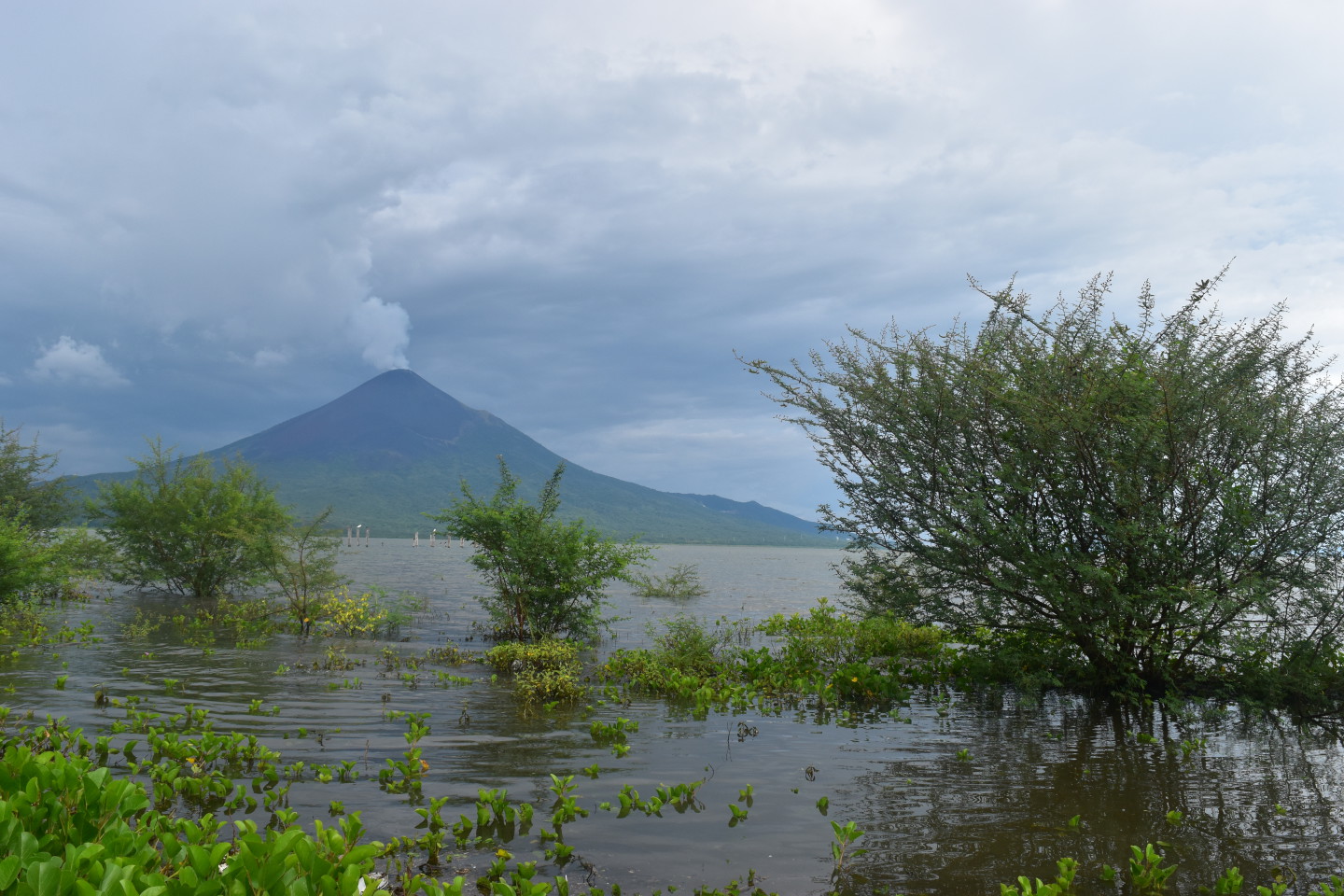 文化も自然も全部満喫!ニカラグアの世界遺産を制覇する旅【ピースボートの旅ブログ】 ピースボートデッキ / PEACE BOAT DECK